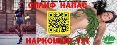 индика Краснодар